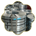 SS Slitting Coil